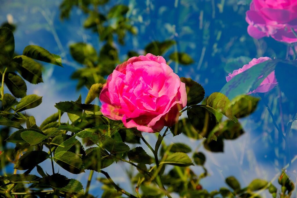 アラフォーの多重債務を解決するための在宅ワークとは？